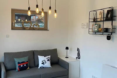 Tiny House 47