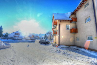 Hotel Cultuur en bezienswaardigheden Lenzkirch