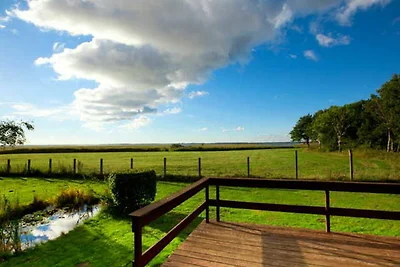 Casa vacanze Vacanza di relax Saal in Vorpommern