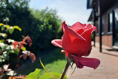 apartman za odmor Obiteljski odmor Mölschow