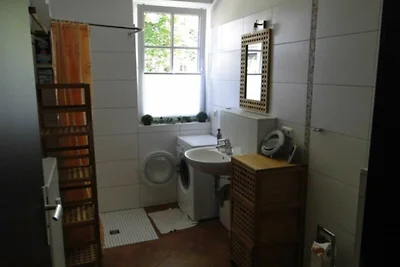 Bucheneck WE 13 SNR: 60