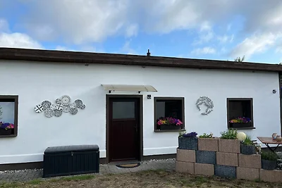Vakantiehuis Ontspannende vakantie Mesekenhagen