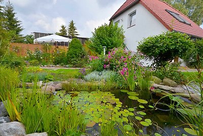Stralsund - Fewo mit Terrasse