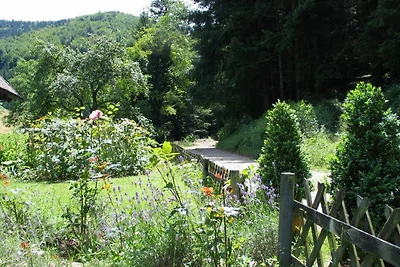 Vakantieappartement Gezinsvakantie Horben