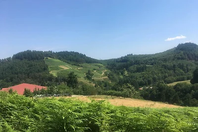 Vakantieappartement Gezinsvakantie Friesenheim