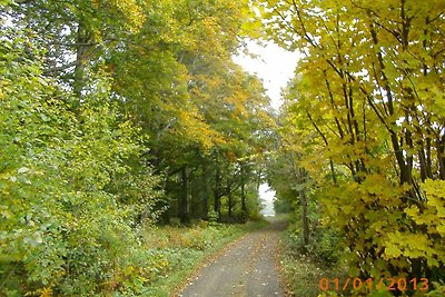 Ferienwohnung Rhönwiese