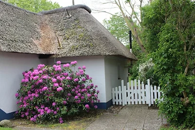 Friesenkate West Brukswai 3 Goting