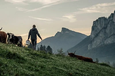 Panoramasuite Schober