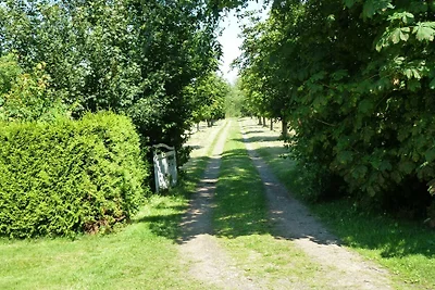 Vakantieappartement Gezinsvakantie Braderup (Nordfriesland)