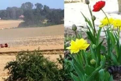 Vakantieappartement Gezinsvakantie Zehna