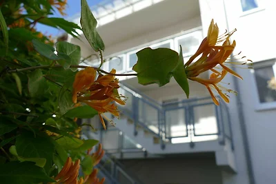 Hafenperle Objekt-ID 155179