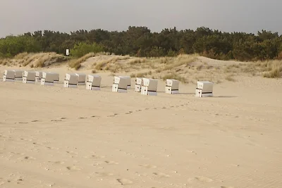 2 Raum Fewo Sonne Strand Ostsee