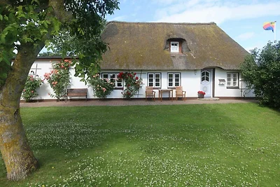 Vakantiehuis Ontspannende vakantie Nieblum