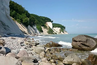 Kleiner Seeigel