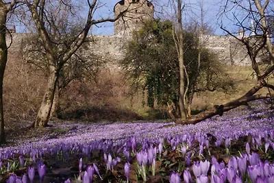 Ferienwohnung für 2-3 Personen, 55m²...