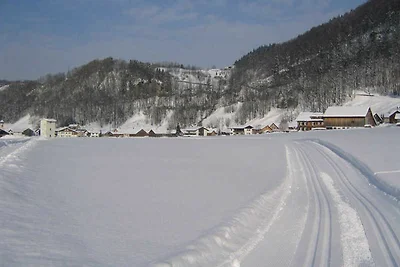 Appartamento Vacanza con famiglia Schnepfau