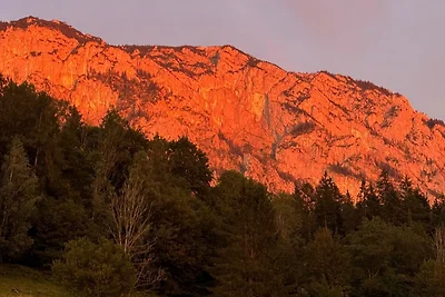 Wild und Wald Ferienwohnung