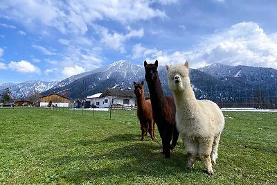 Einzelzimmer Blauberge