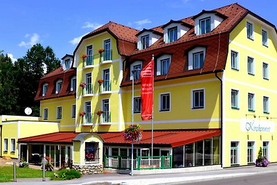 Albergo Cultura ed escursioni Schladming-Dachstein