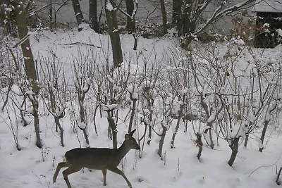 FEWO 3 Lange Strasse