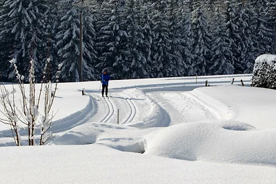 Vakantiehuis Ontspannende vakantie Pertisau