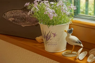Vakantieappartement Gezinsvakantie Trassenheide