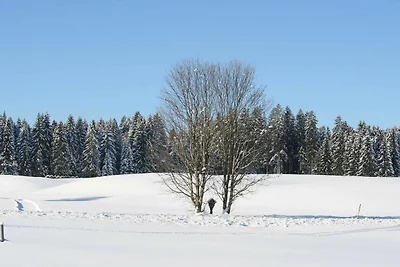 Wiesenblick
