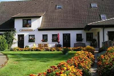 Holiday flat family holiday Bergen auf Rügen