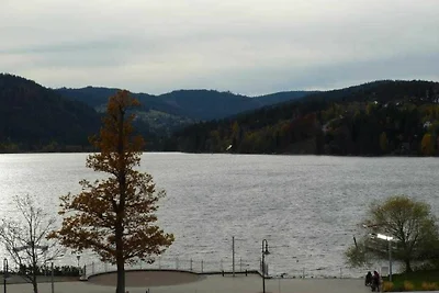 Vakantieappartement Gezinsvakantie Titisee-Neustadt