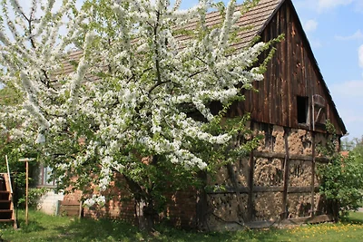 Suite am See