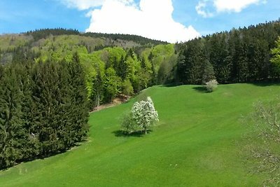 Casa vacanze Vacanza di relax Mondsee