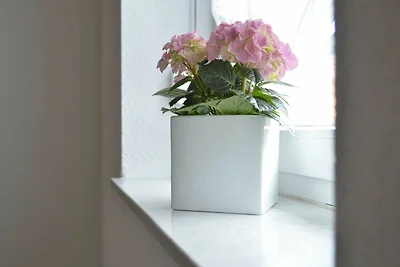 Vakantieappartement Gezinsvakantie Edertal