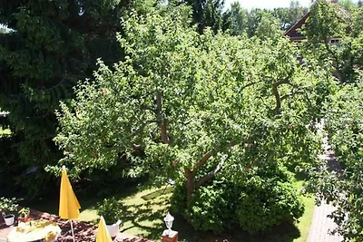 Appartment 4