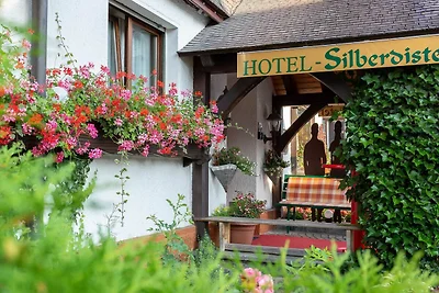 Albergo Cultura ed escursioni Hinterzarten