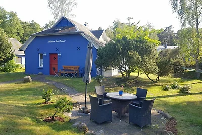 Blaues Strandhaus hinter der Düne - 1. Reihe