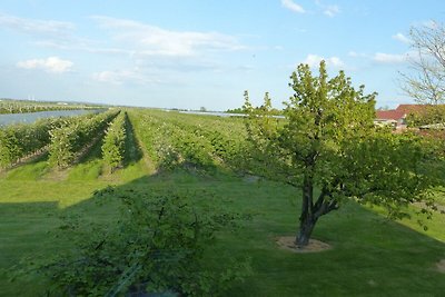 Vakantieappartement Gezinsvakantie Mittelnkirchen