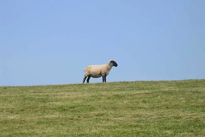 Vakantiehuis Ontspannende vakantie Varel