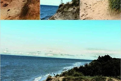 Appartement Seevogel