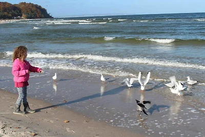 Appartamento Vacanza con famiglia Lohme