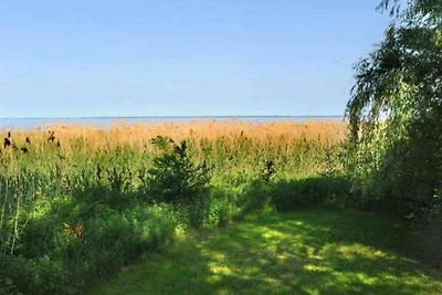 Ferienwohnung Seepferd