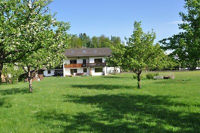 Vakantieappartement Gezinsvakantie Bernau