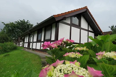 Hotel Cultuur en bezienswaardigheden Hollern-Twielenfleth