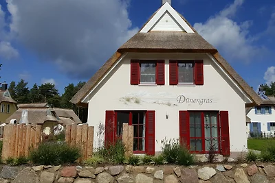 Dünengras
