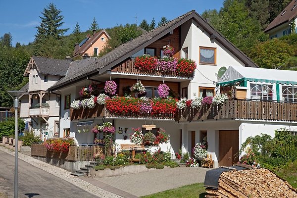 Frau Heitz Frau Heitz