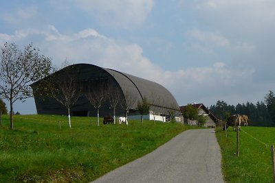 Ferienhaus Litzibuch
