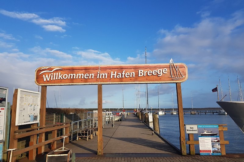 Hafen Breege 