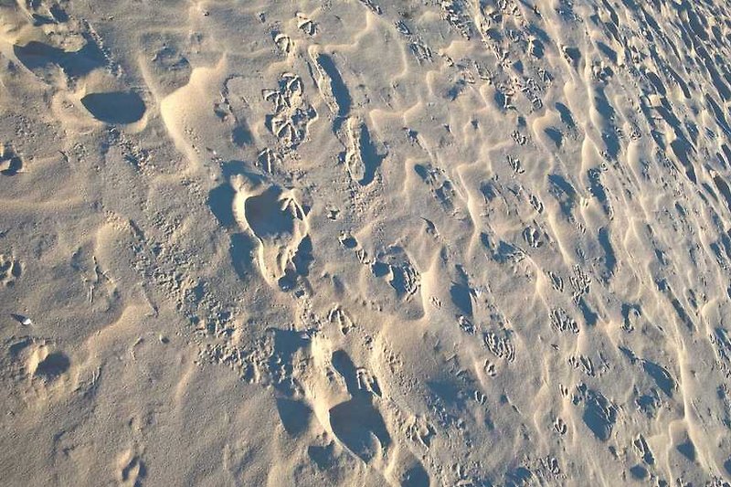 Spuren im schönen Sand