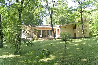 Ideal Villa