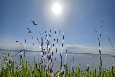 Sonnendeck