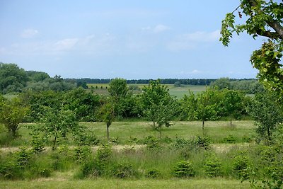 Vakantieappartement Gezinsvakantie Neuhof